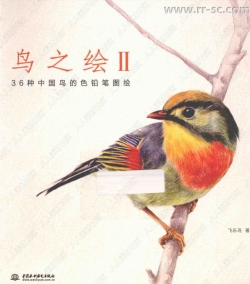 36种中国鸟彩色铅笔图绘书籍杂志
