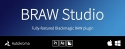 BRAW Studio Blackmagic RAW素材导入插件V2.5.0版