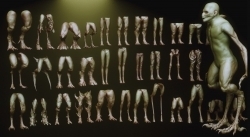 33组人类怪物生物腿部姿势3D模型与IMM笔刷合集
