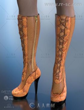 女性美丽时髦的高跟鞋皮靴3D模型合辑