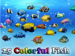 五颜六色海洋鱼类低模Unity游戏素材资源