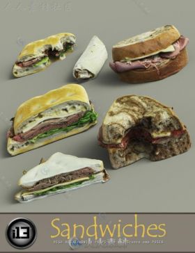 现代六个美味详细的三明治3D模型合辑
