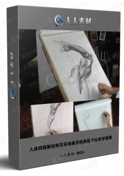 人体四肢解结构写实绘画传统素描手绘教学视频