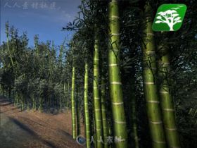 高质量的竹树包植物模型Unity3D素材资源