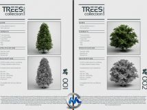 《树木3D模型合辑》CGAxis Models Volume 5