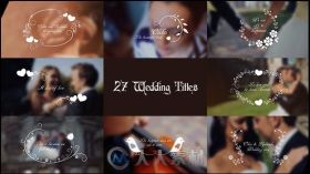 美丽时尚创意婚礼标题动画AE模板 Videohive Wedding Titles 17267979