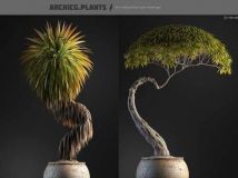 《植物盆栽盆景3D模型合辑》ArchiCG Plants Bonsai 4 Interior volume 1