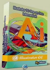 Illustrator CC 一对一进阶训练视频教程