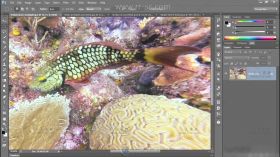 Photoshop增强水下图片处理技能视频教程