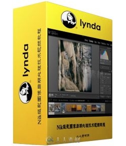 Nik摄影图像后期处理技术视频教程 Lynda Basics of Using the Nik Collection