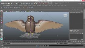 Maya绑定带翅膀的动物视频教程