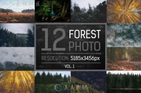 12种大自然森林照片Lightroom预设