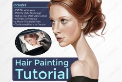 PS女性头发数字绘画实例训练视频教程