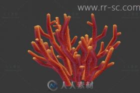 火红的珊瑚3D模型