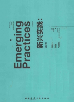 新兴实践 设计的专业、价值与途径 汉英对照.pdf