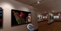 虚拟画廊壁画展示AE模板