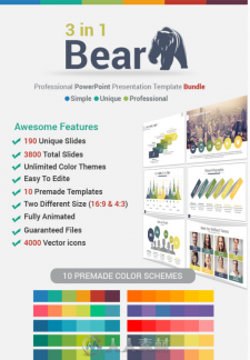 3合1专业PPT模板Graphicriver 3 in 1 Bear PowerPoint Template Bundle 13028387