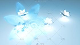 蓝色花朵背景由下至上循环效果视频素材
