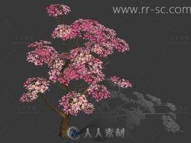 精美桃花树大场景使用3D模型