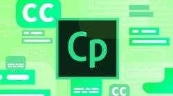 Adobe Captivate 2019高效学习软件V11.8.1.219版