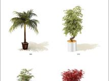 精典植物3D模型全集（含材质）
