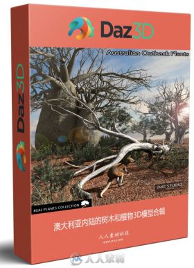 澳大利亚内陆的树木和植物3D模型合辑