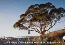 单反摄影师的曝光技术进阶训练视频教程 - 中文字幕版