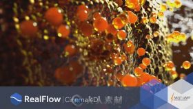 RealFlow流体动力学模拟C4D插件V1.0.1.0095版 Nextlimit Realflow Cinema 4D v1.0....