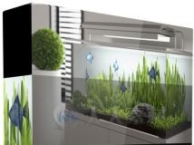 水族馆鱼缸3D模型合辑 CGAxis Models Volume 24 Aquariums