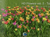 《郁金香花草3D模型合辑》3dMentor HD flowers vol.2 Tulips
