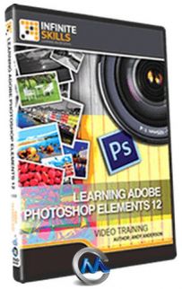 Photoshop Elements 12综合训练视频教程