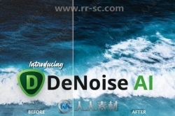 Topaz DeNoise AI图像降噪软件V2.4.0版