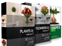盆栽植物3D模型合辑 CGAxis Models Volume 21 26 and Convexshapes 3D Potted Plants