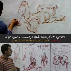 世界四大美院之一的人体解剖课（3.86g）
