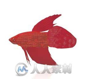 红色金鱼3D模型