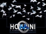 《Houdini中Flocking群集仿真系统教程》cmiVFX Houdini Flocking Systems