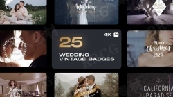 25个婚礼主题复古平面LOGO动画演绎AE模板
