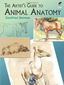 《动物解剖学手绘书籍》The Artists Guide to Animal Anatomy Dover Anatomy for A...