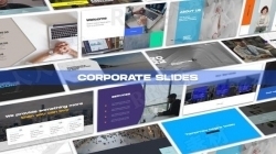 简洁公司企业商务版式展示动画AE模板