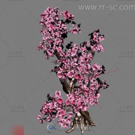 粉嫩的桃树3D模型