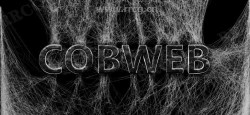 Cobweb蜘蛛网生成器Blender插件V2.1版