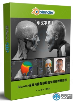 【中文字幕】Blender逼真肖像面部骨骼肌肉解剖学制作视频教程