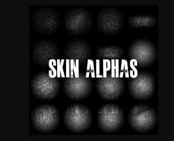 17组皮肤表面细节雕刻Zbrush alphas贴图合集