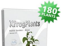家庭花园植物3D模型合辑 XfrogPlants Home Garden