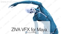 Ziva Dynamics Ziva VFX骨骼肌肉运动模拟Maya插件V1.6版