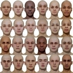 78组真实头部摄影测量捕捉扫描男性女性参考3D模型 已更新第三部分