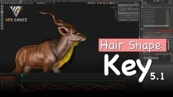 Hair Shape Key毛发动画Blender插件V5.3版