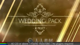 美丽优雅迷人难忘的金色粒子婚礼视频包装AE模板  Videohive Wedding Pack 20038431
