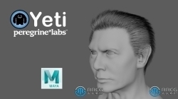 Peregrine Labs Yeti皮毛羽毛Maya插件V5.0.2版