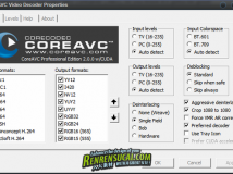 《H.264视频编/解码器》(CoreCodec CoreAVC Professional Edition)v3.0